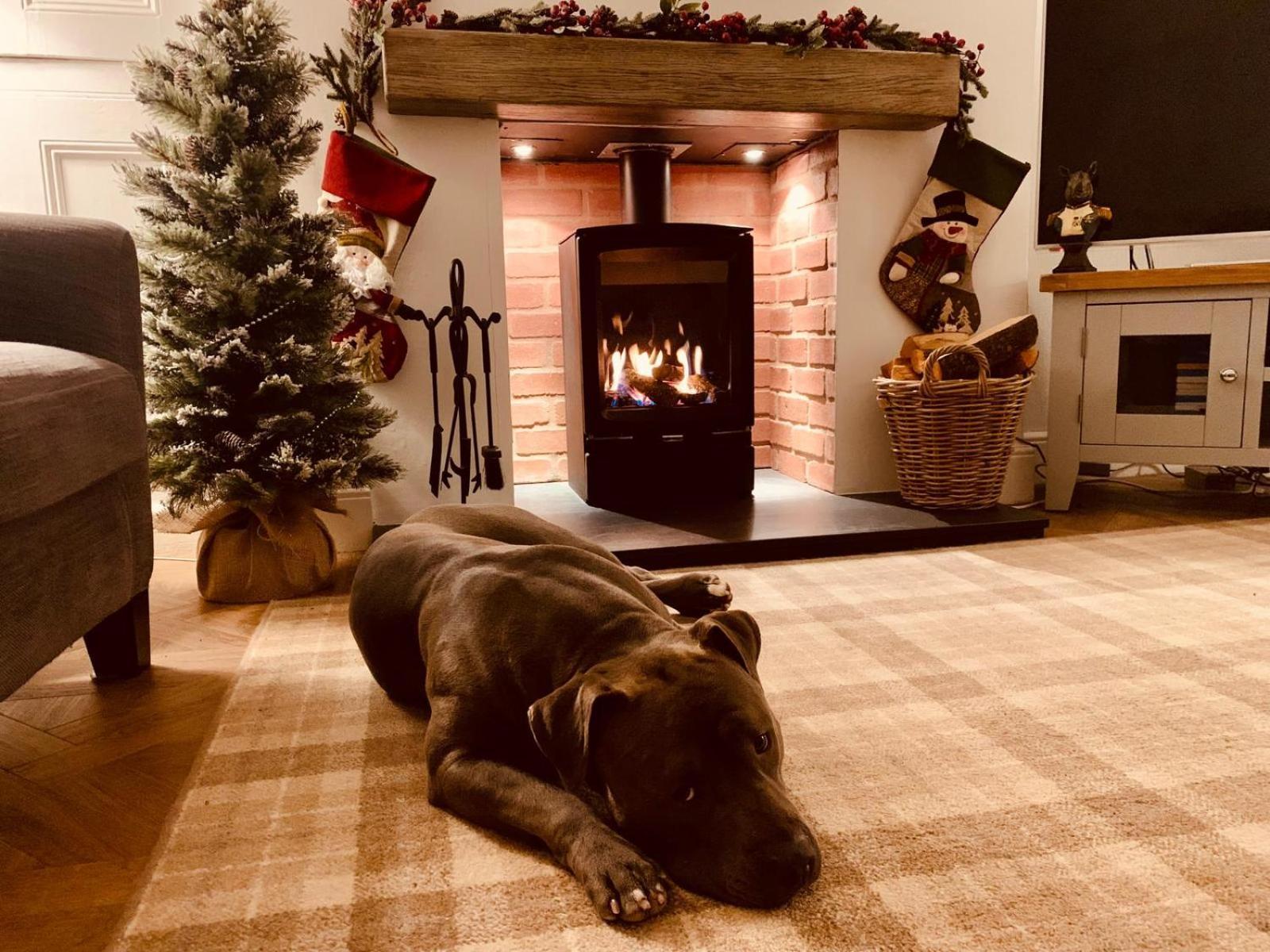Woodland Cottage - Private Courtyard - Pet Friendly Retreat In The Heart Of Windermere Kültér fotó