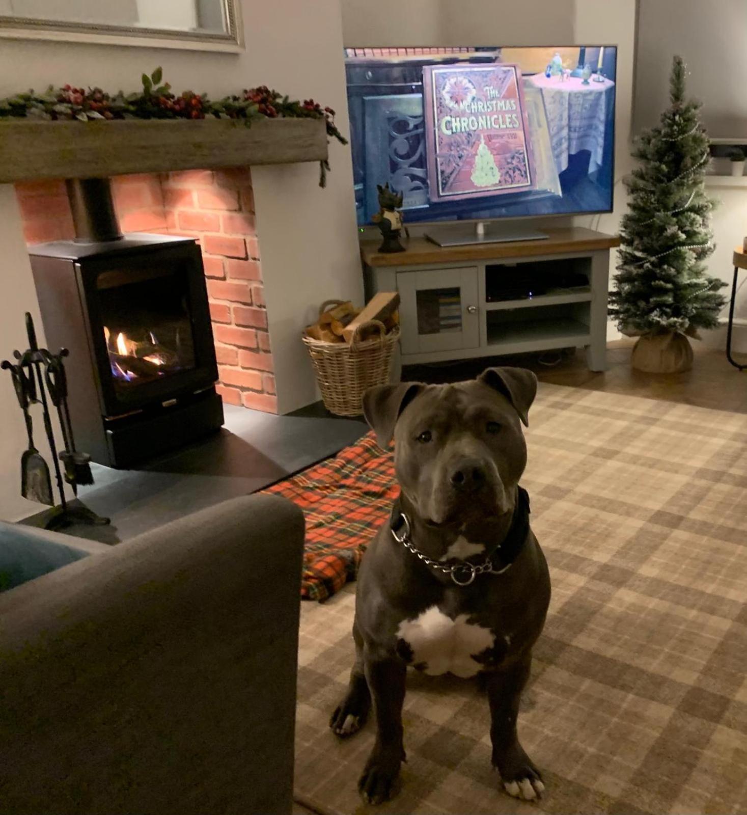 Woodland Cottage - Private Courtyard - Pet Friendly Retreat In The Heart Of Windermere Kültér fotó